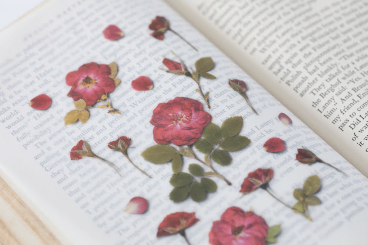 Bring Nature To The Page With Appree Pressed Flower Stickers