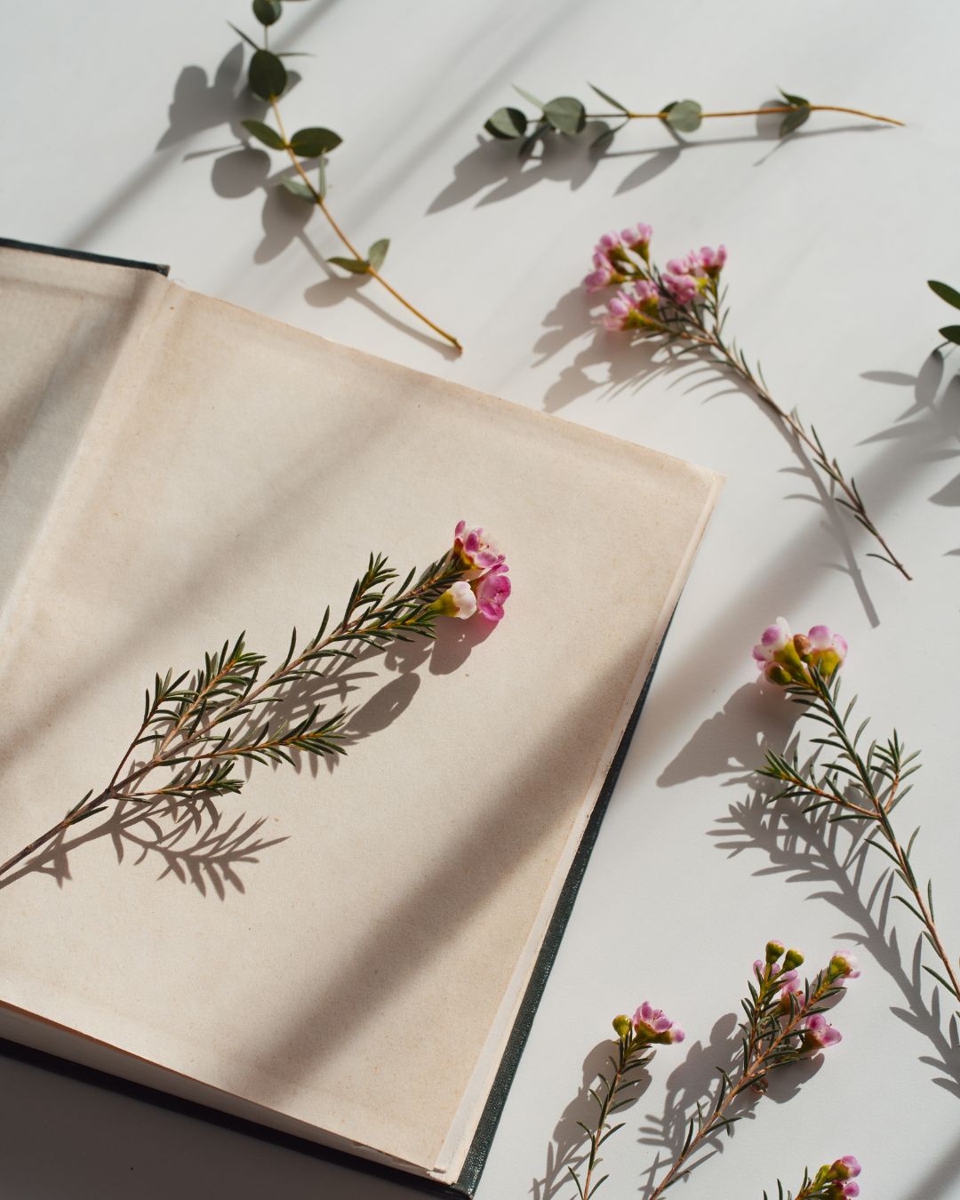 Simplify Your Week: A Minimalist Planning Guide